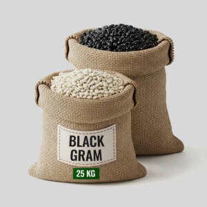 Black Gram (Urad Dal)