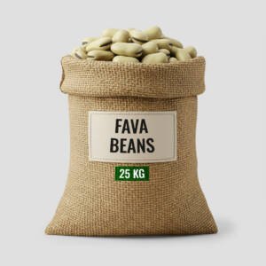 Fava Beans (Broad Beans)
