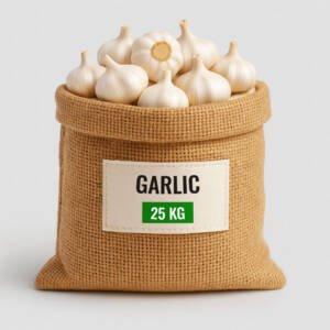 Garlic