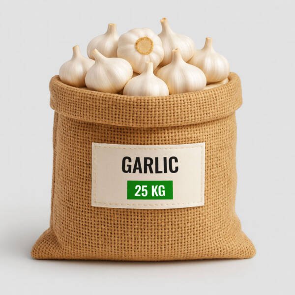 Garlic